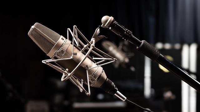 Ribbon Mic Pioneers Royer Labs Acquired by Sounds Great Holdings