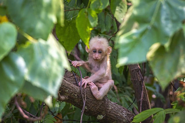 The Last Three Women of an Amazon Tribe Just Had a Baby — and the World Is Holding Its Breath