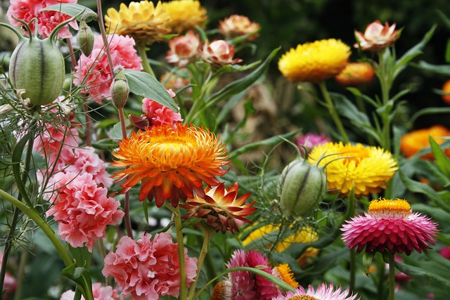 Monty Don brings his love letter to British gardens home to Glasgow