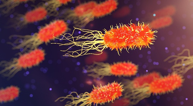 Tiny lipid 'discs' expose hidden weak spots in HIV and Ebola, raising hopes for next-generation vaccines