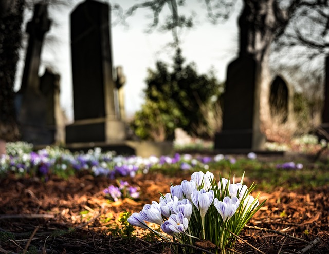 DNA Reveals Medieval "Family" Graves Often Weren't Family At All